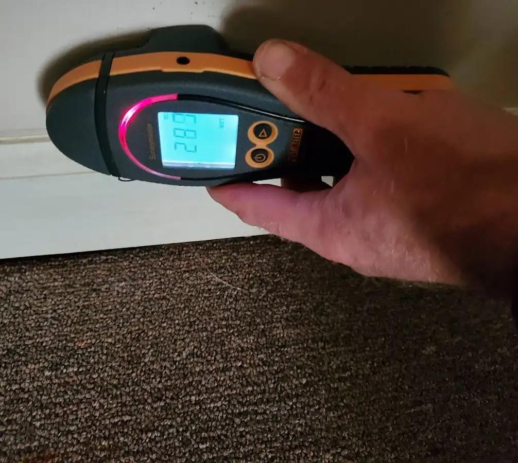 Moisture detection at baseboard during Sewage Cleanup & Sanitation in Cheverly